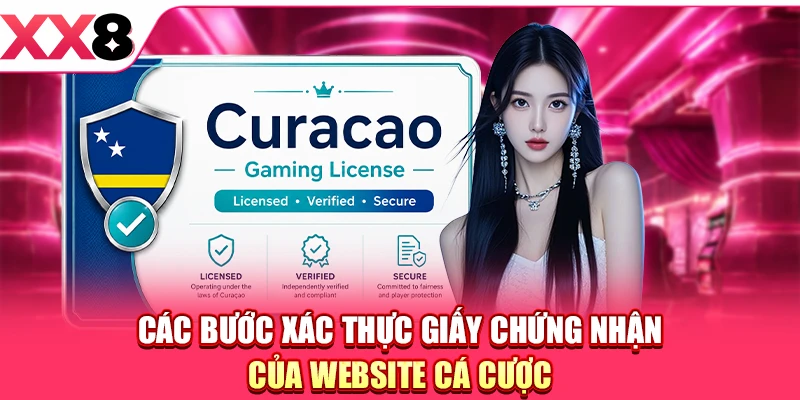 Giấy Phép Hoạt Động - Tấm Hộ Chiếu Pháp Lý Minh Bạch