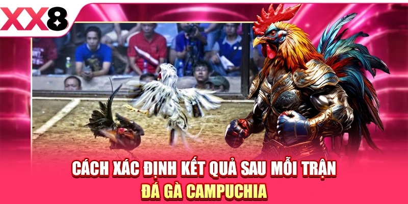 Đá Gà Campuchia - Điểm Hẹn Của Những Màn Đấu Nảy Lửa