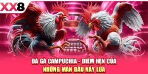 XX8 ⚜️ Trang Chủ XX8.COM Chính Thức Mới Nhất 2026