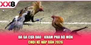 XX8 ⚜️ Trang Chủ XX8.COM Chính Thức Mới Nhất 2026