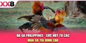 XX8 ⚜️ Trang Chủ XX8.COM Chính Thức Mới Nhất 2026