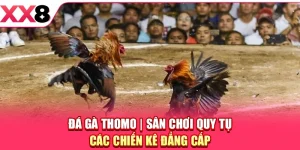 XX8 ⚜️ Trang Chủ XX8.COM Chính Thức Mới Nhất 2026