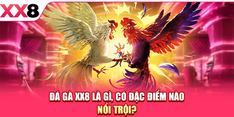 Đá Gà XX8 - Sàn Đấu Kịch Tính, Hội Tụ Các Sư Kê Đam Mê