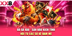 XX8 ⚜️ Trang Chủ XX8.COM Chính Thức Mới Nhất 2026