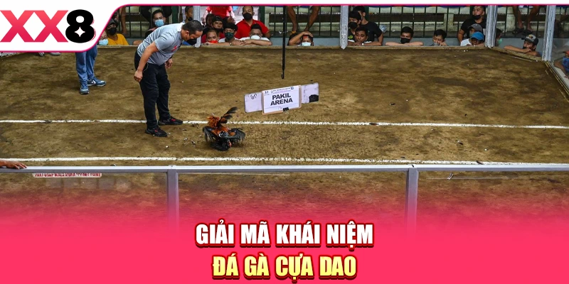 Đá Gà Cựa Dao - Khám Phá Bộ Môn Chọi Kê Hấp Dẫn 2026