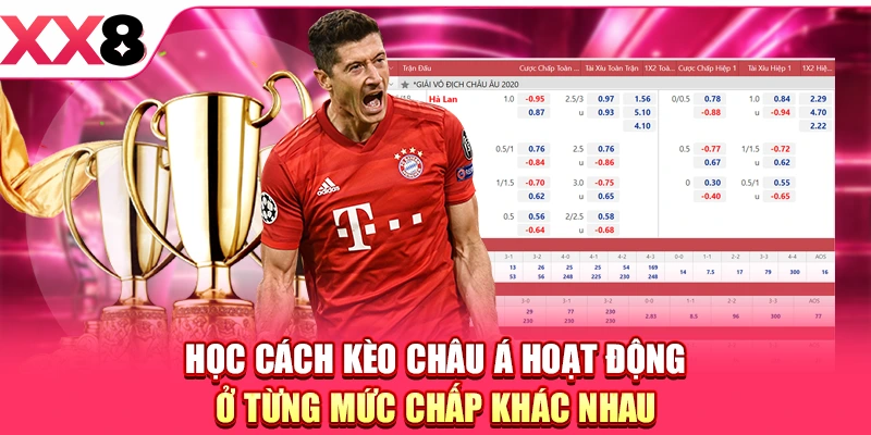 Kèo Handicap - Loại Kèo Cơ Bản Trong Cá Cược Bóng Đá