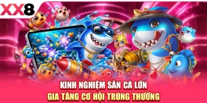XX8 ⚜️ Trang Chủ XX8.COM Chính Thức Mới Nhất 2026