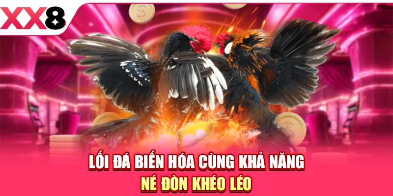 Đá Gà Philippines - Sức Hút Từ Các Màn So Tài Đỉnh Cao