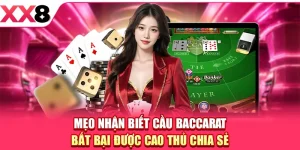 XX8 ⚜️ Trang Chủ XX8.COM Chính Thức Mới Nhất 2026