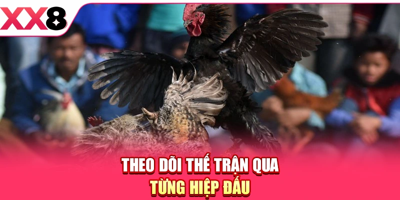 Đá Gà Cựa Sắt - Trải Nghiệm So Tài Chiến Kê Cực Mãn Nhãn