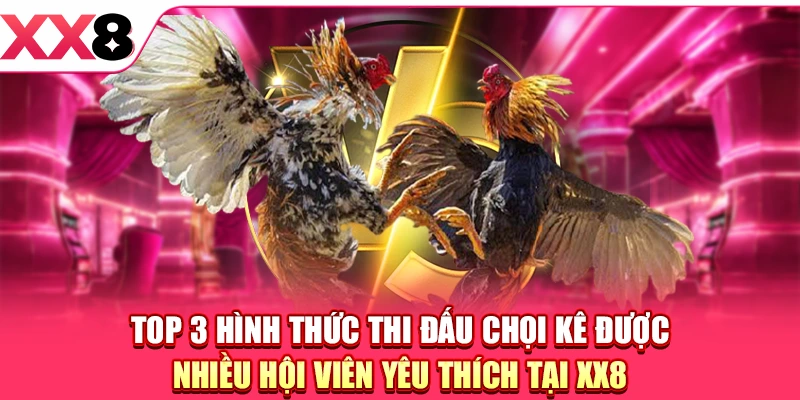 Đá Gà XX8 - Sàn Đấu Kịch Tính, Hội Tụ Các Sư Kê Đam Mê
